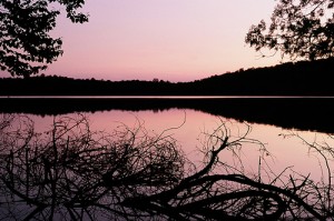 Limberlost in August