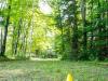 122-The-Limberlost-Challenge-GE-2025-07-05-HEG