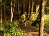 2025-Limberlost-112