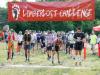 005-The-Limberlost-Challenge-56KM-2025-07-05-HEG