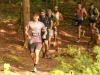 2025-Limberlost-5