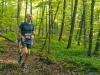 Limberlost_Challenge_2025_003