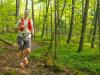 Limberlost_Challenge_2025_013